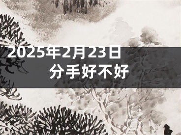 2025年2月23日分手好不好