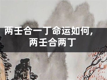 两壬合一丁命运如何,两壬合两丁
