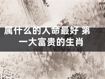属什么的人命最好 第一大富贵的生肖