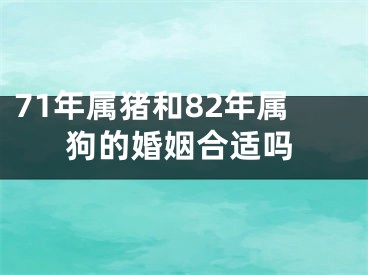 71年属猪和82年属狗的婚姻合适吗