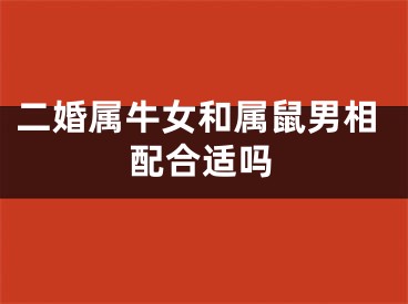 二婚属牛女和属鼠男相配合适吗