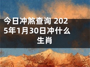 今日冲煞查询 2025年1月30日冲什么生肖