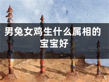 男兔女鸡生什么属相的宝宝好