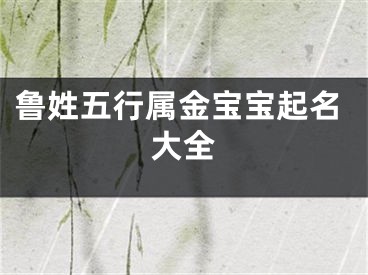 鲁姓五行属金宝宝起名大全