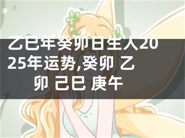 乙巳年癸卯日生人2025年运势,癸卯 乙卯 己巳 庚午