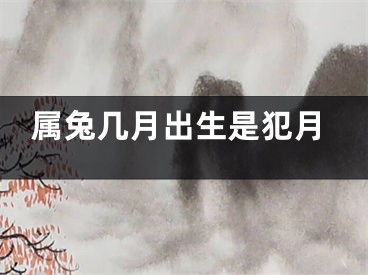 属兔几月出生是犯月