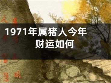 1971年属猪人今年财运如何