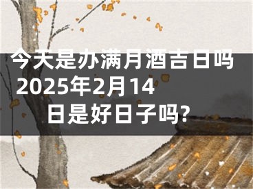 今天是办满月酒吉日吗 2025年2月14日是好日子吗?