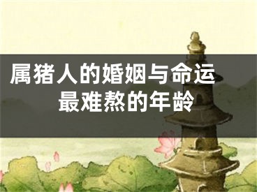 属猪人的婚姻与命运 最难熬的年龄