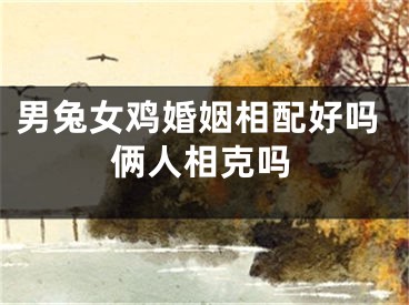 男兔女鸡婚姻相配好吗俩人相克吗