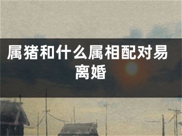 属猪和什么属相配对易离婚
