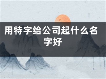 用特字给公司起什么名字好