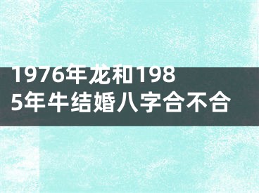 1976年龙和1985年牛结婚八字合不合