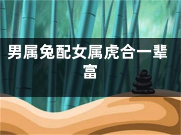 男属兔配女属虎合一辈富