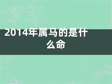 2014年属马的是什么命