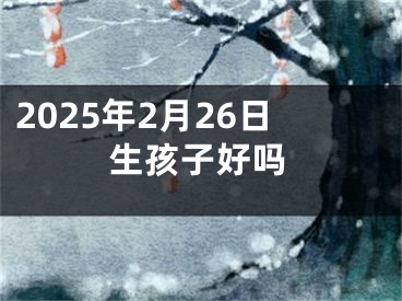 2025年2月26日生孩子好吗