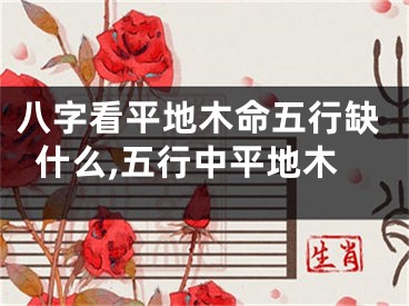 八字看平地木命五行缺什么,五行中平地木