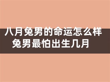 八月兔男的命运怎么样 兔男最怕出生几月