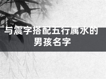 与震字搭配五行属水的男孩名字