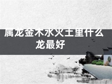 属龙金木水火土里什么龙最好 