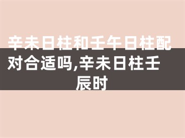 辛未日柱和壬午日柱配对合适吗,辛未日柱壬辰时