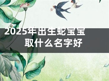 2025年出生蛇宝宝取什么名字好
