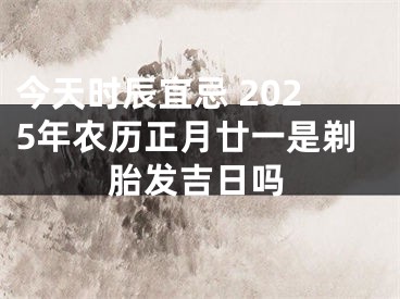 今天时辰宜忌 2025年农历正月廿一是剃胎发吉日吗