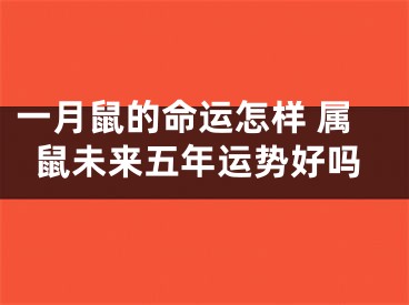一月鼠的命运怎样 属鼠未来五年运势好吗