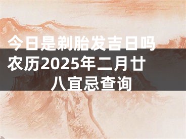 今日是剃胎发吉日吗 农历2025年二月廿八宜忌查询
