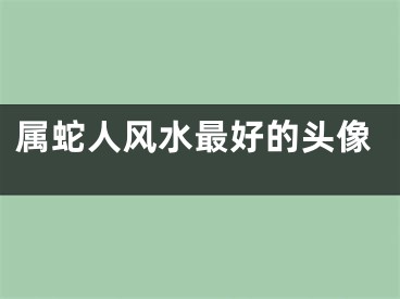属蛇人风水最好的头像