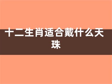十二生肖适合戴什么天珠