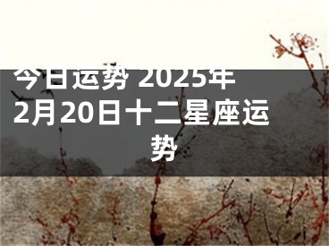 今日运势 2025年2月20日十二星座运势