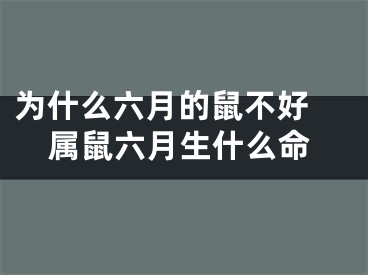 为什么六月的鼠不好 属鼠六月生什么命