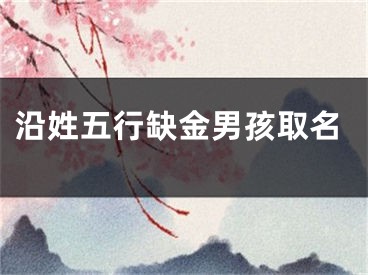 沿姓五行缺金男孩取名