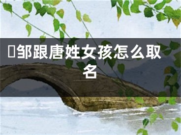 ​邹跟唐姓女孩怎么取名