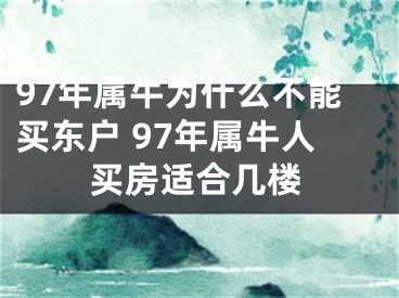 97年属牛为什么不能买东户 97年属牛人买房适合几楼