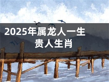 2025年属龙人一生贵人生肖