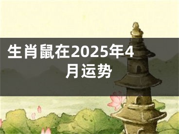 生肖鼠在2025年4月运势