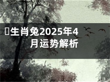 ​生肖兔2025年4月运势解析