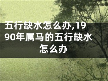 五行缺水怎么办,1990年属马的五行缺水怎么办