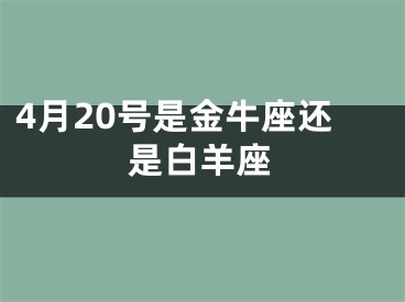 4月20号是金牛座还是白羊座