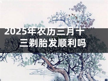 2025年农历三月十三剃胎发顺利吗