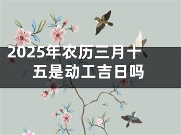 2025年农历三月十五是动工吉日吗