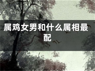 属鸡女男和什么属相最配