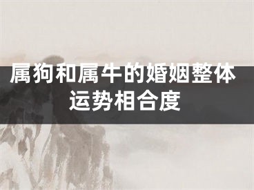 属狗和属牛的婚姻整体运势相合度
