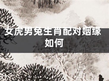 女虎男兔生肖配对姻缘如何