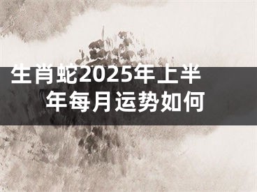 生肖蛇2025年上半年每月运势如何
