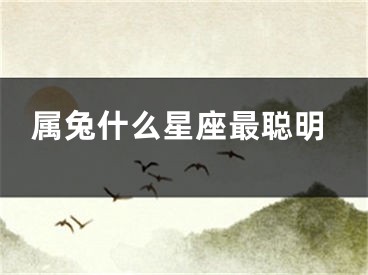 属兔什么星座最聪明