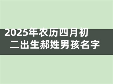2025年农历四月初二出生郝姓男孩名字