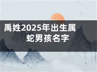 禹姓2025年出生属蛇男孩名字